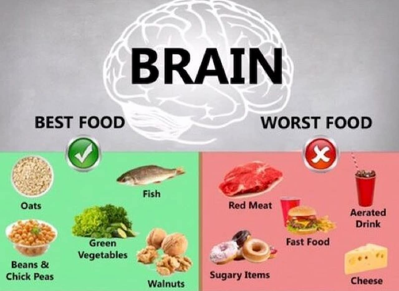 What Are The Worst Foods For Your Brain Your Info Master