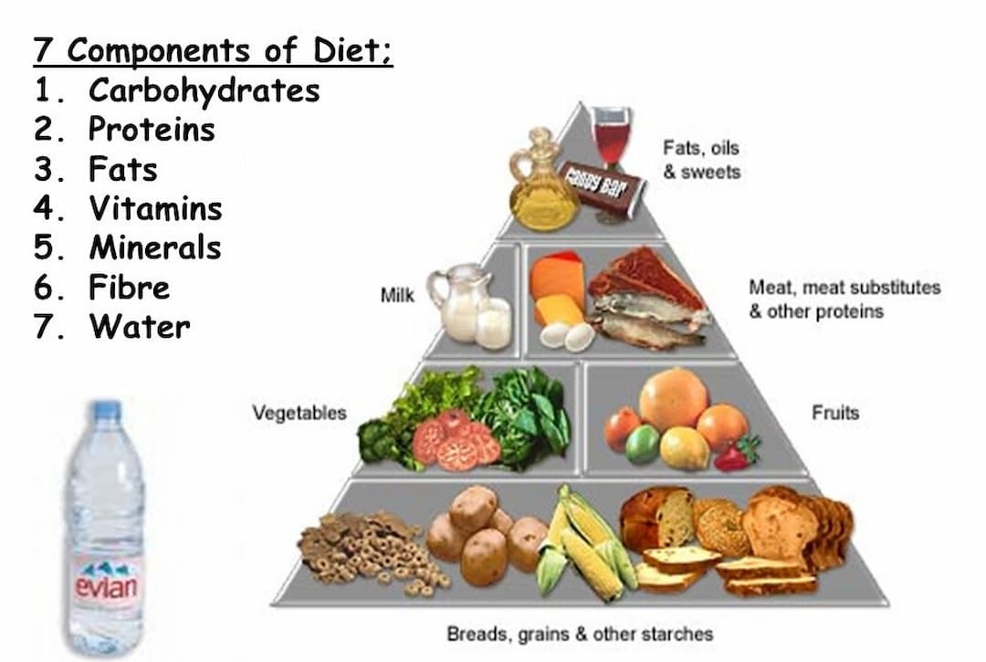 What Is Balance Diet And Its Components? - Your Info Master