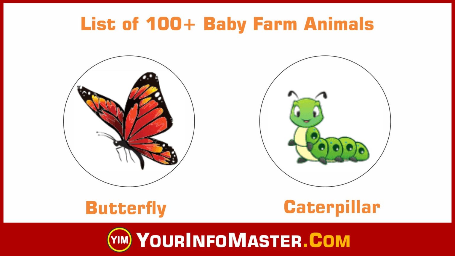 Baby Farm Animals - List of 100+ Popular Names of Baby Animals in ...