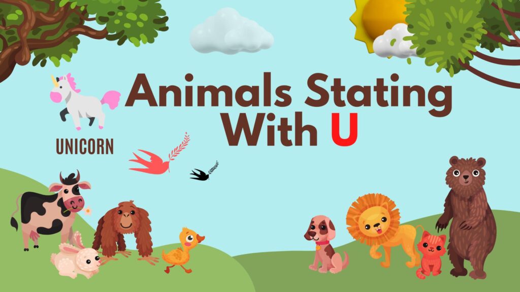 5 Letter Animal Names, 5 Letter Animal Starting With U, Animal List, Animal Names in English, Animal Names Starting With U, Animal Starting With U, Animal Vocabulary, Animals Starting With U, Animals That Start With U, English, English Grammar, English Vocabulary, English Words, List of Animal Names That Start With U, Vocabulary, Words That Start with U