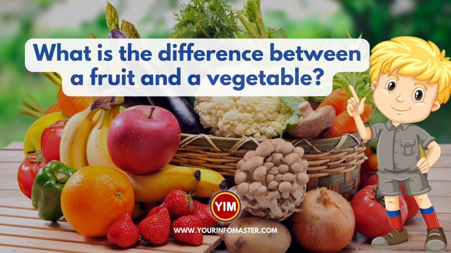 What Is The Difference Between A Fruit And A Vegetable Your Info Master 9131