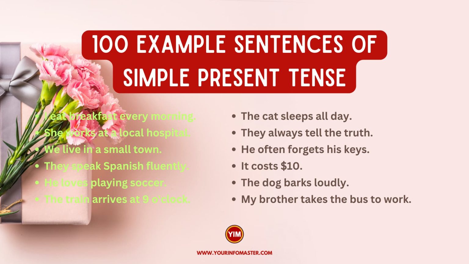 100-example-sentences-of-simple-present-tense-your-info-master