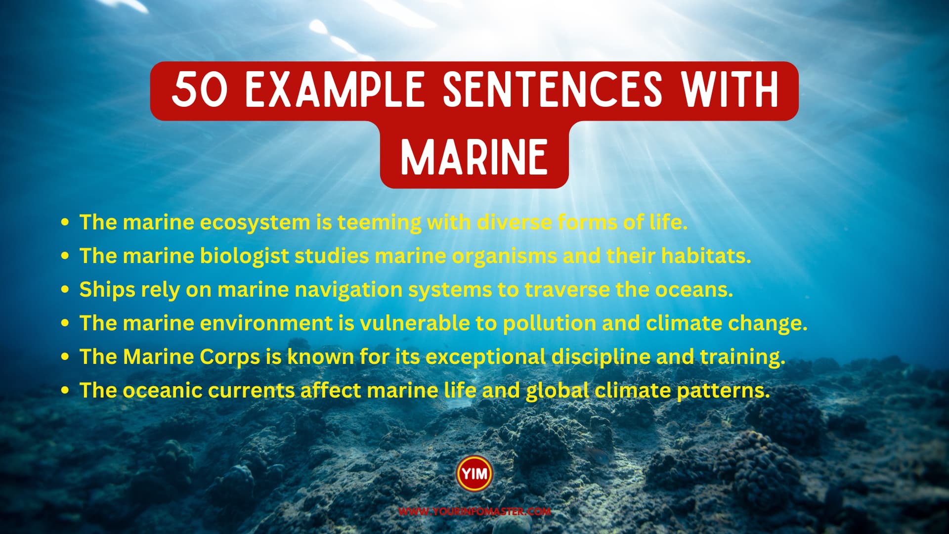 50 Sentences With Marine Your Info Master