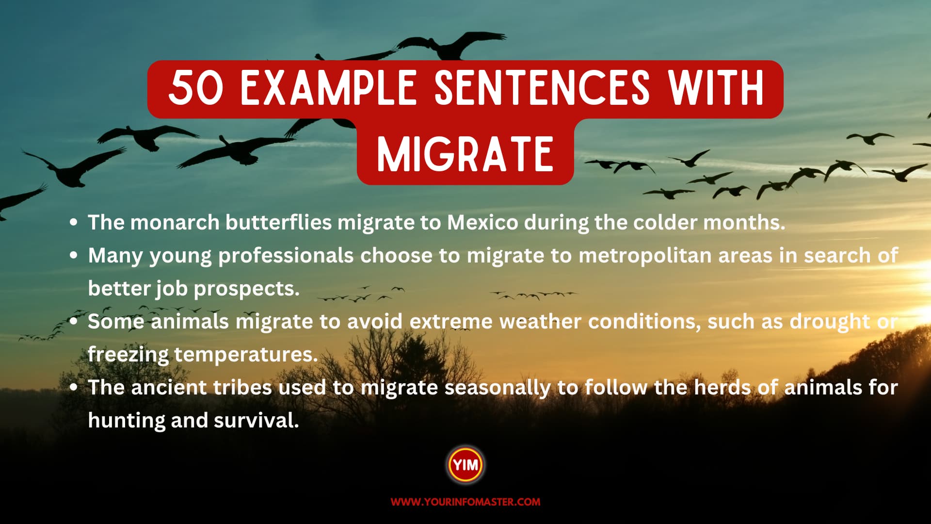 50 Sentences With Migrate Your Info Master