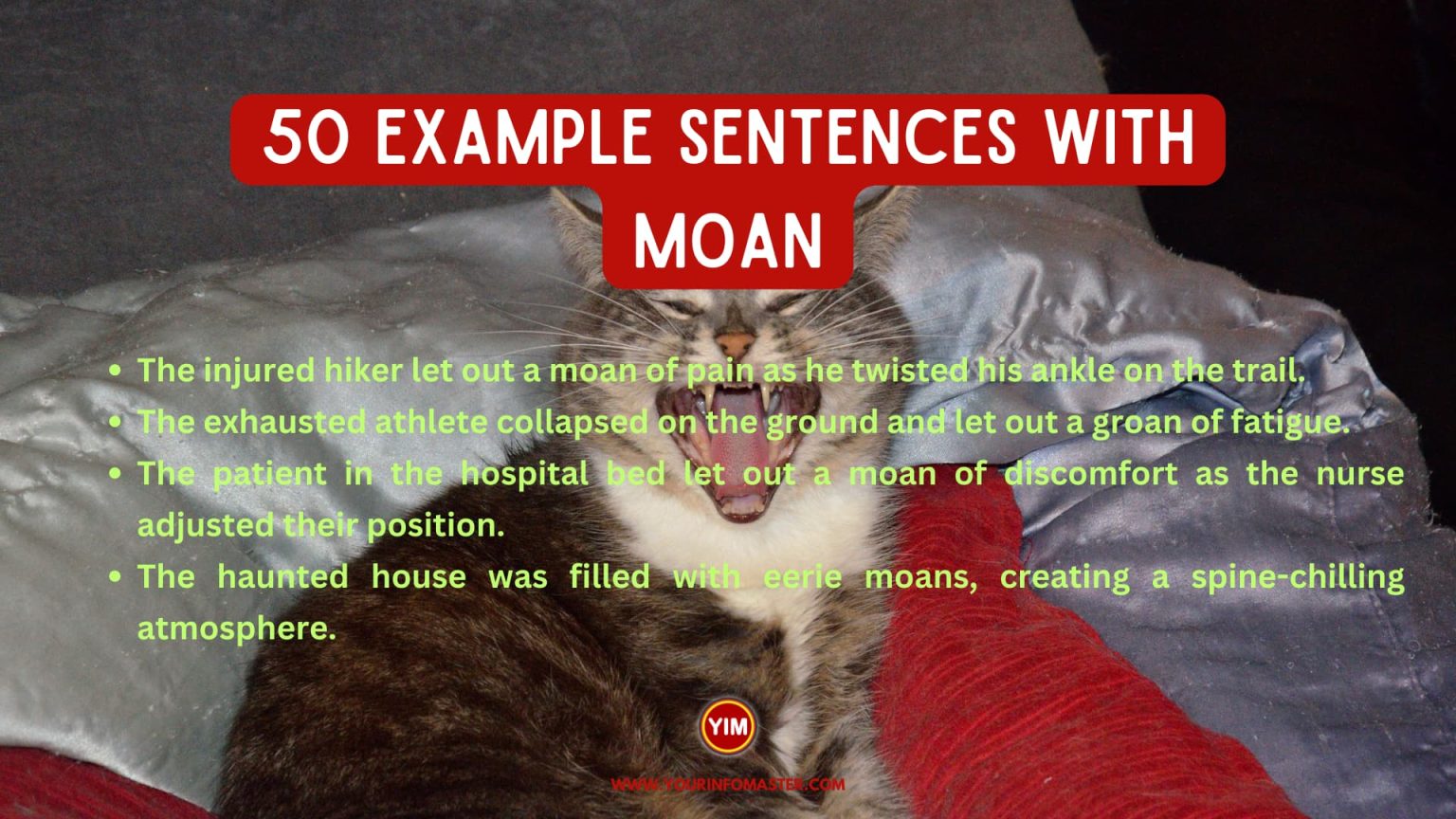 50-sentences-with-moan-your-info-master