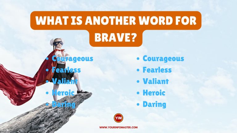 What Is Another Word For Brave Sentences Antonyms And Synonyms For 