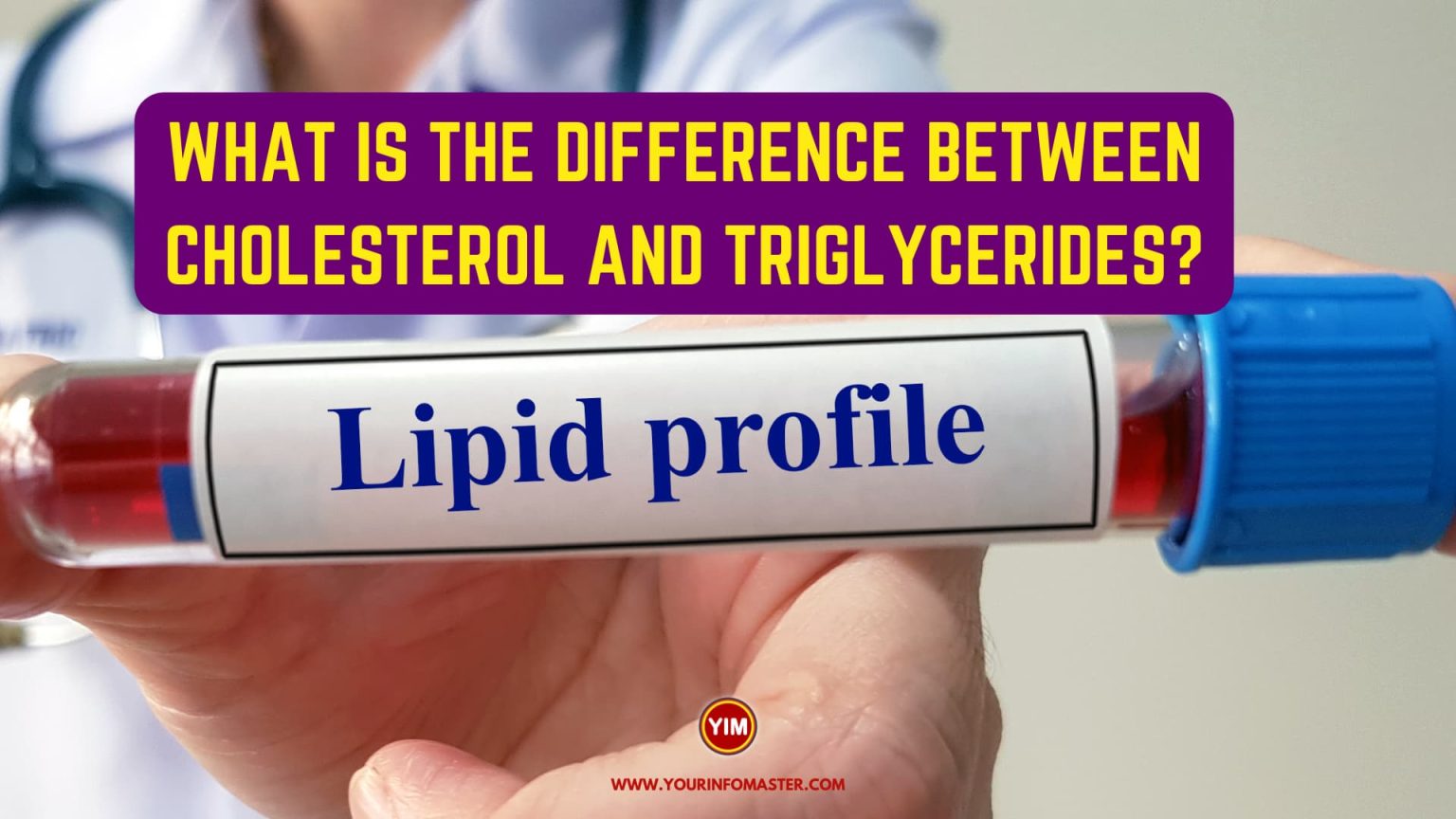 What Is The Difference Between Cholesterol And Triglycerides? - Your ...