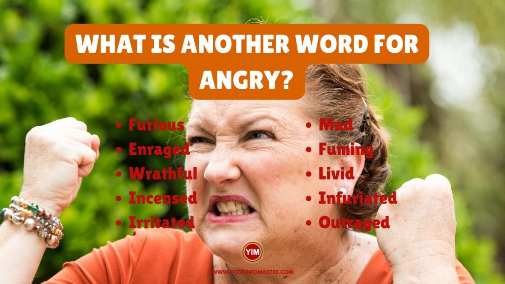  What Is Another Word For Angry Sentences Antonyms And Synonyms For 