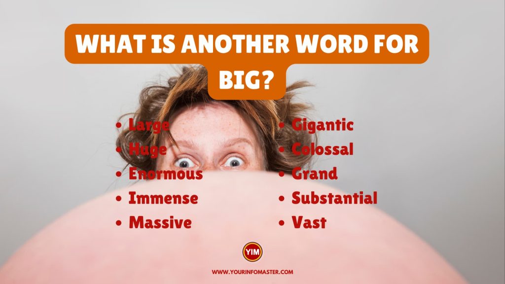 What Is Another Word For Big Sentences Antonyms And Synonyms For Big 