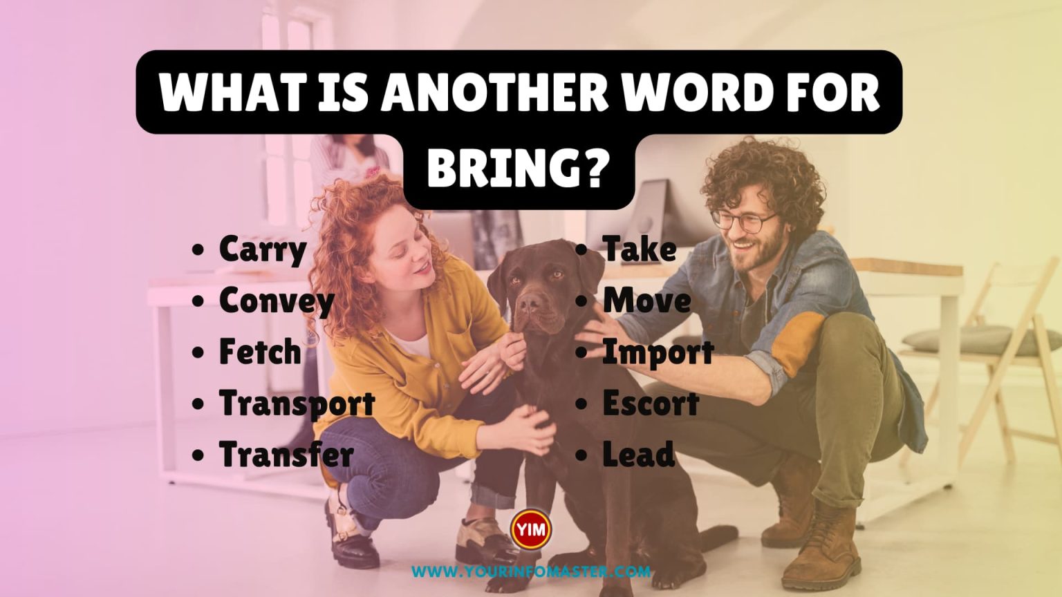 what-is-another-word-for-bring-bring-synonyms-antonyms-and