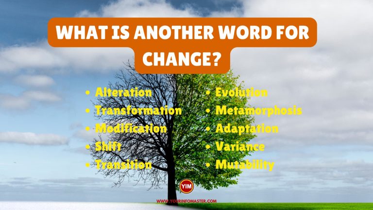 What Is Another Word For Change Management