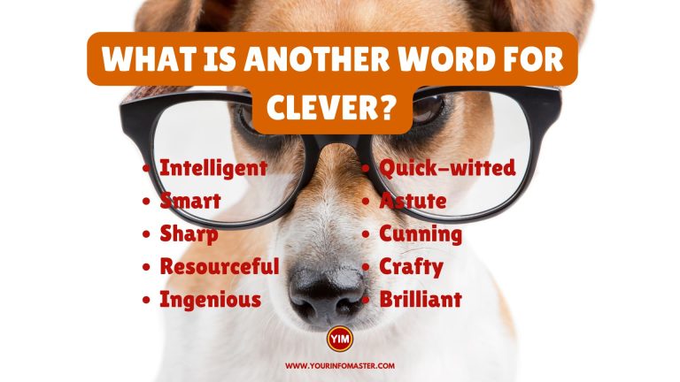 What Is A Positive Word For Clever