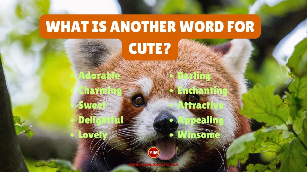  What Is Another Word For Cute Sentences Antonyms And Synonyms For 