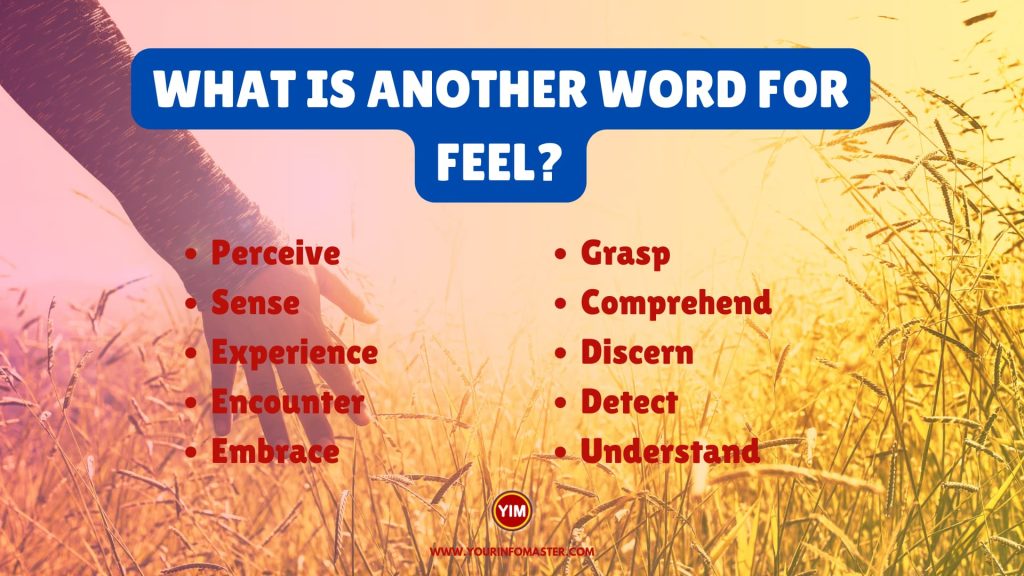 What Is Another Word For Feel Feel Synonyms Antonyms And Sentences 