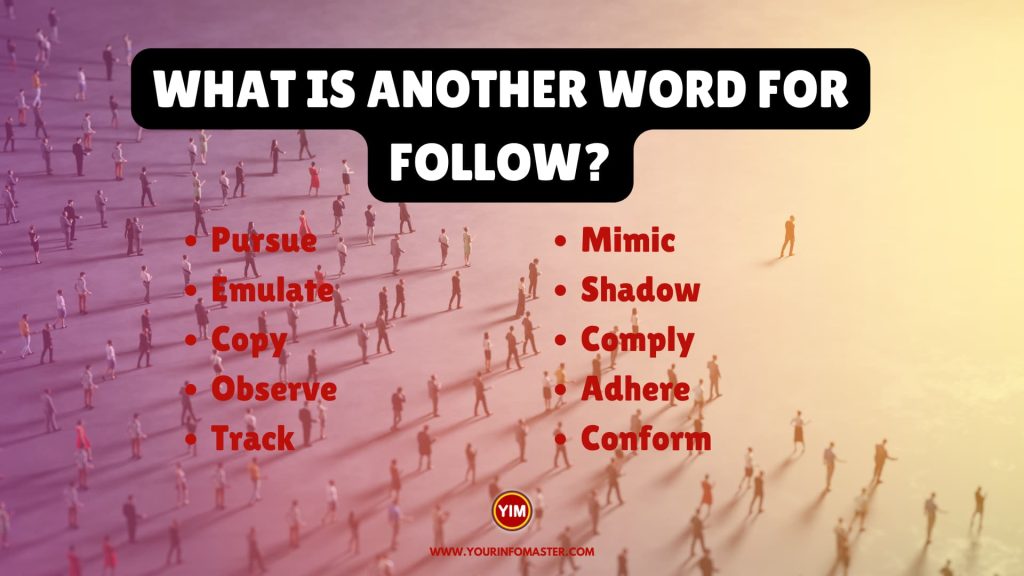 What Is Another Word For Follow Follow Synonyms Antonyms And 