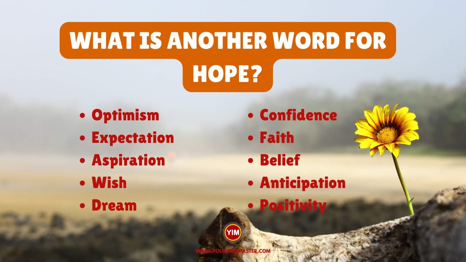 What Is Another Word For Hope Sentences Antonyms And Synonyms For 