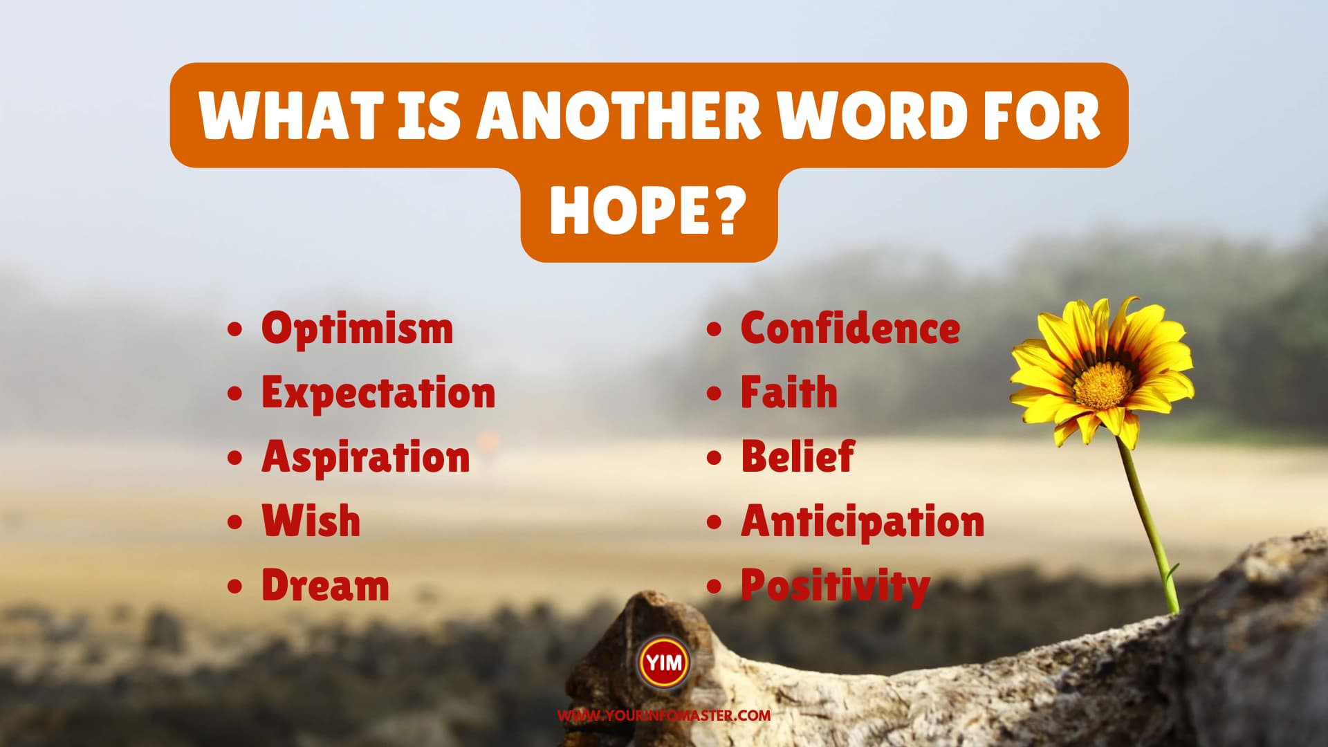  What Is Another Word For Hope Sentences Antonyms And Synonyms For 