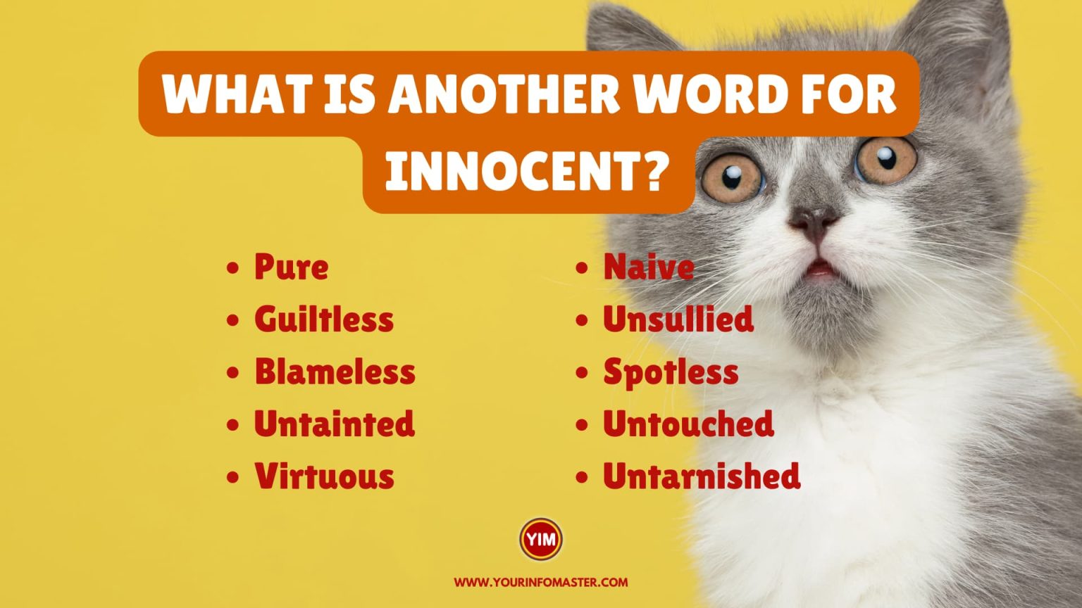 what-is-another-word-for-innocent-sentences-antonyms-and-synonyms-for