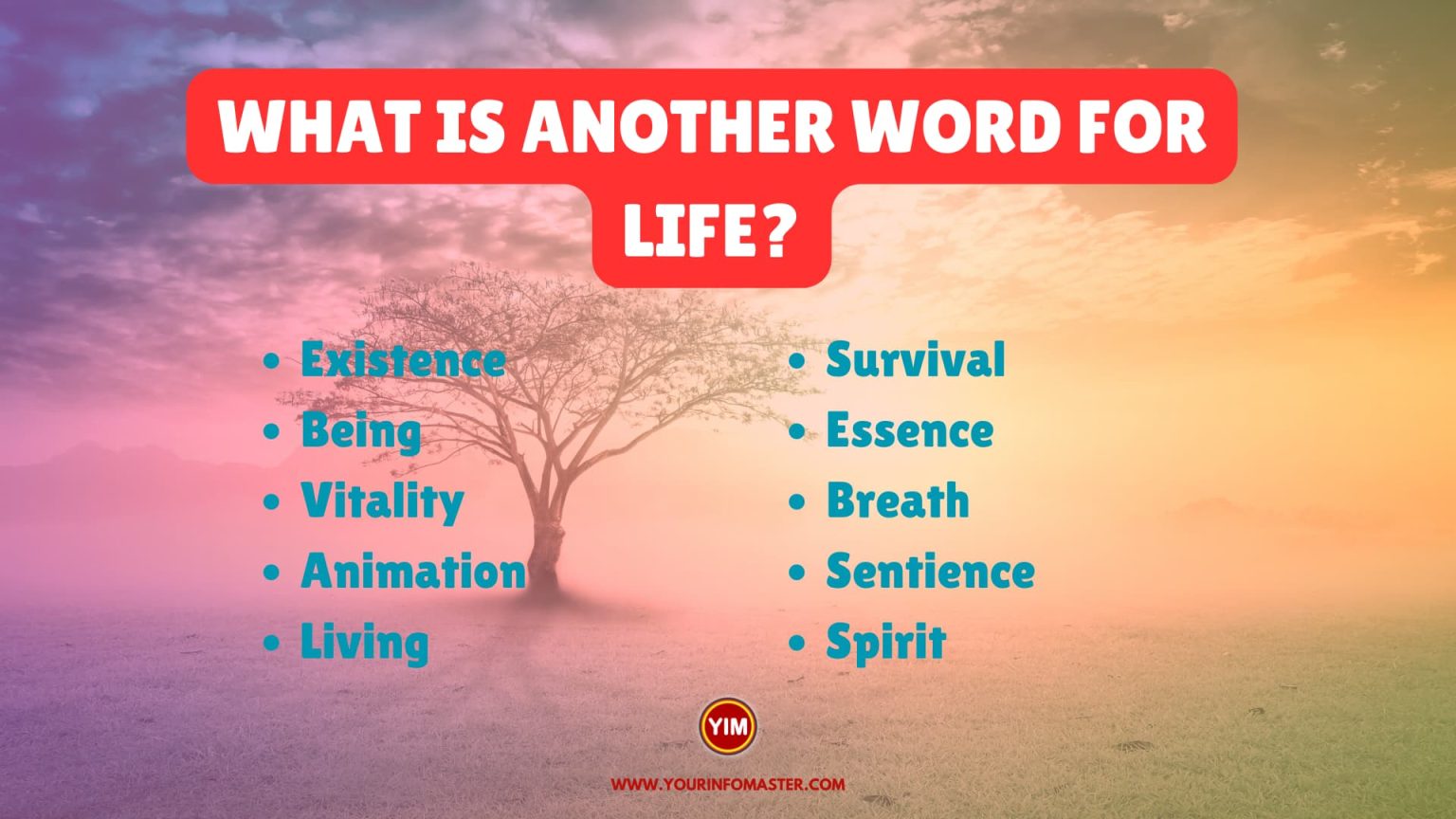 What Is Another Word For Life Life Synonyms Antonyms And Sentences 