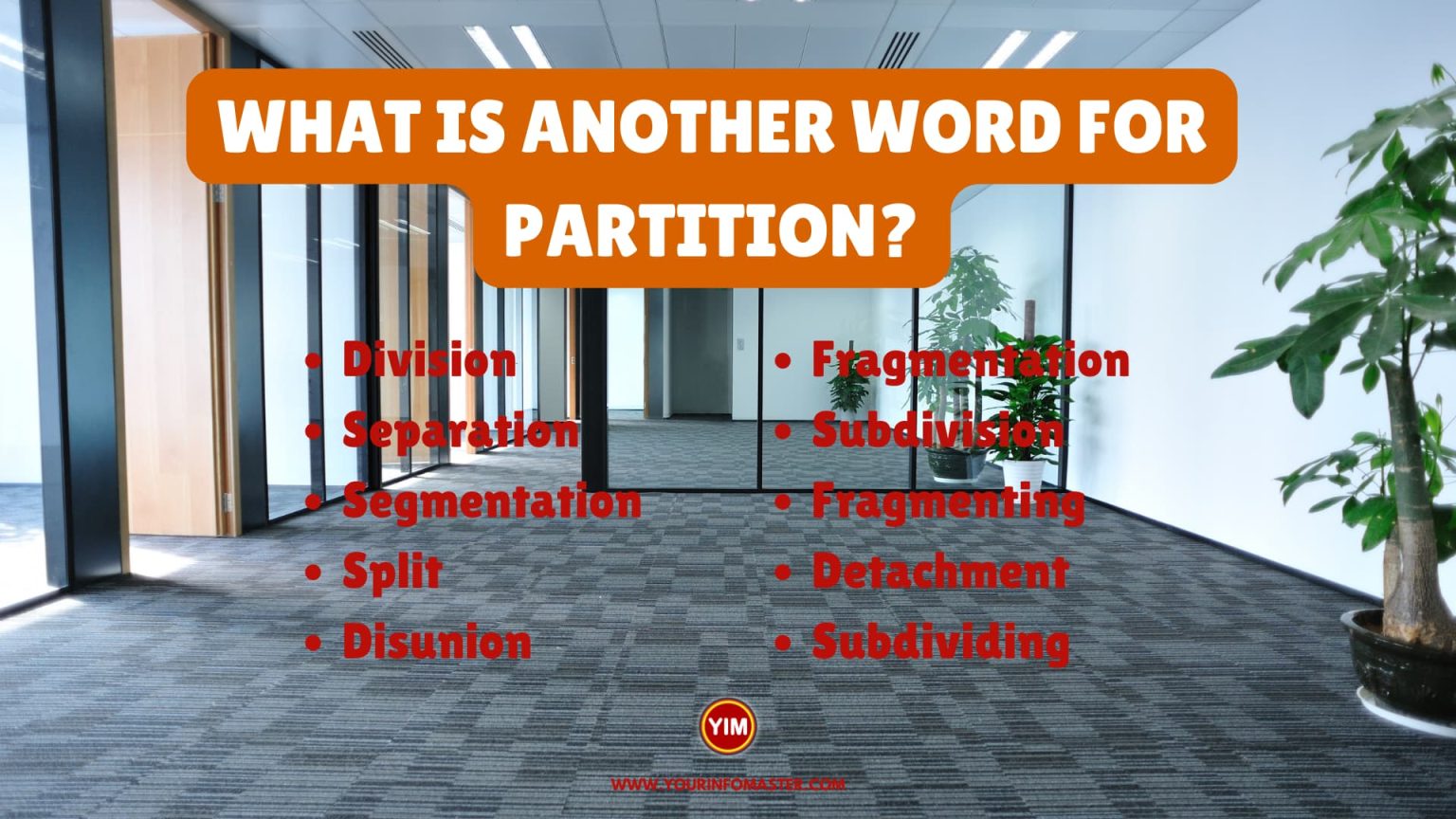 what-is-another-word-for-partition-sentences-antonyms-and-synonyms