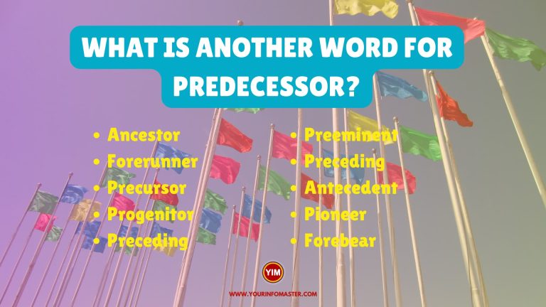 what-is-another-word-for-predecessor-sentences-antonyms-and-synonyms