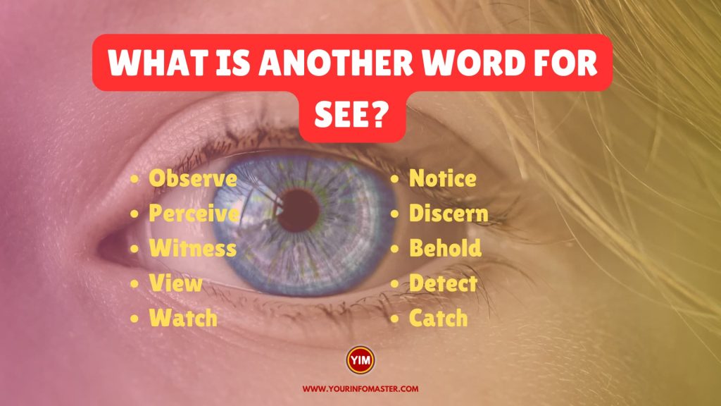 What Is Another Word For See See Synonyms Antonyms And Sentences 