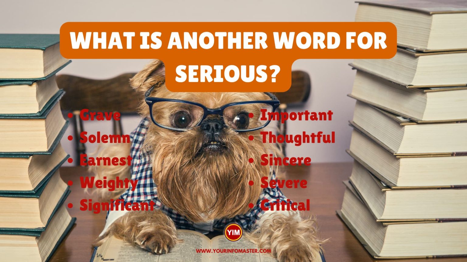 What Is Another Word For Serious Sentences Antonyms And Synonyms For 