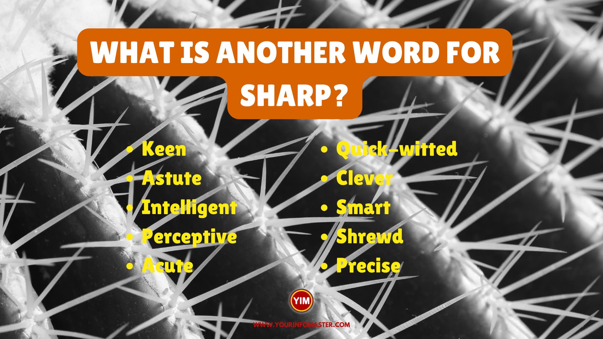 what-is-another-word-for-sharp-sentences-antonyms-and-synonyms-for