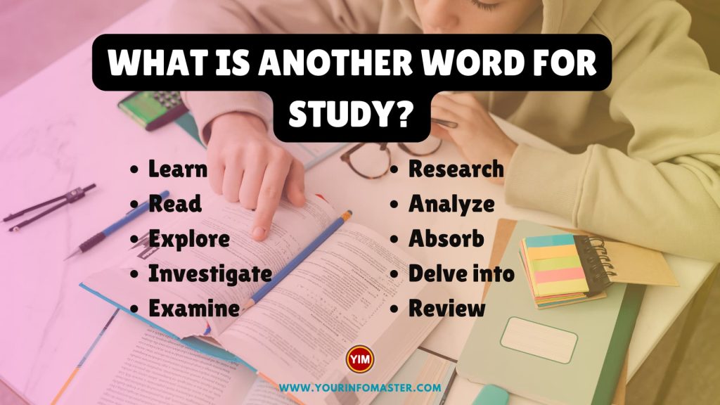 What Is Another Word For Study Hard