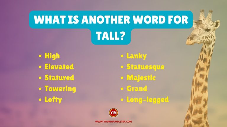 what-is-another-word-for-tall-sentences-antonyms-and-synonyms-for