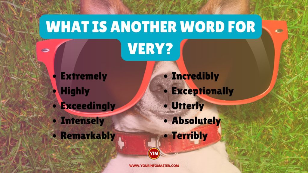 What Is Another Word For Very Sentences Antonyms And Synonyms For 