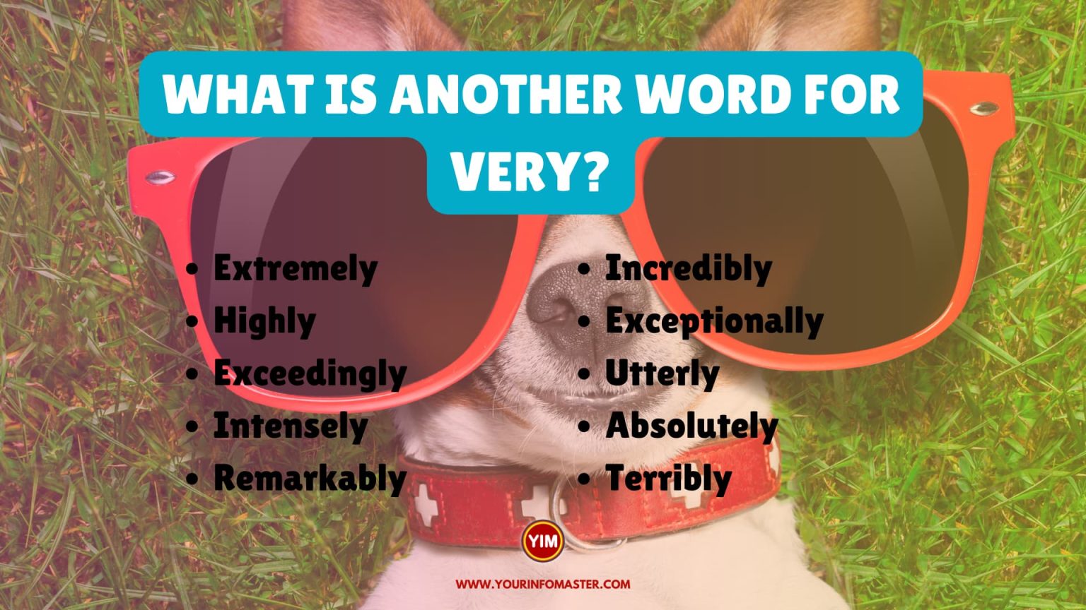 what-is-another-word-for-very-sentences-antonyms-and-synonyms-for