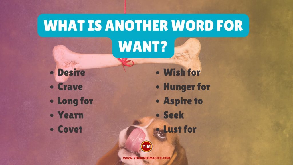 What is another word for Want