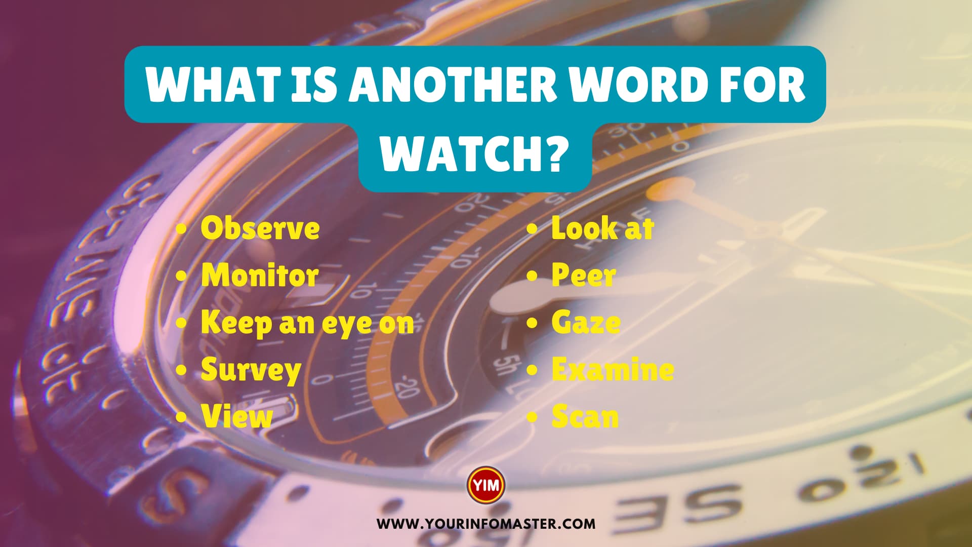 What Is Another Word For Watch Watch Synonyms Antonyms And 