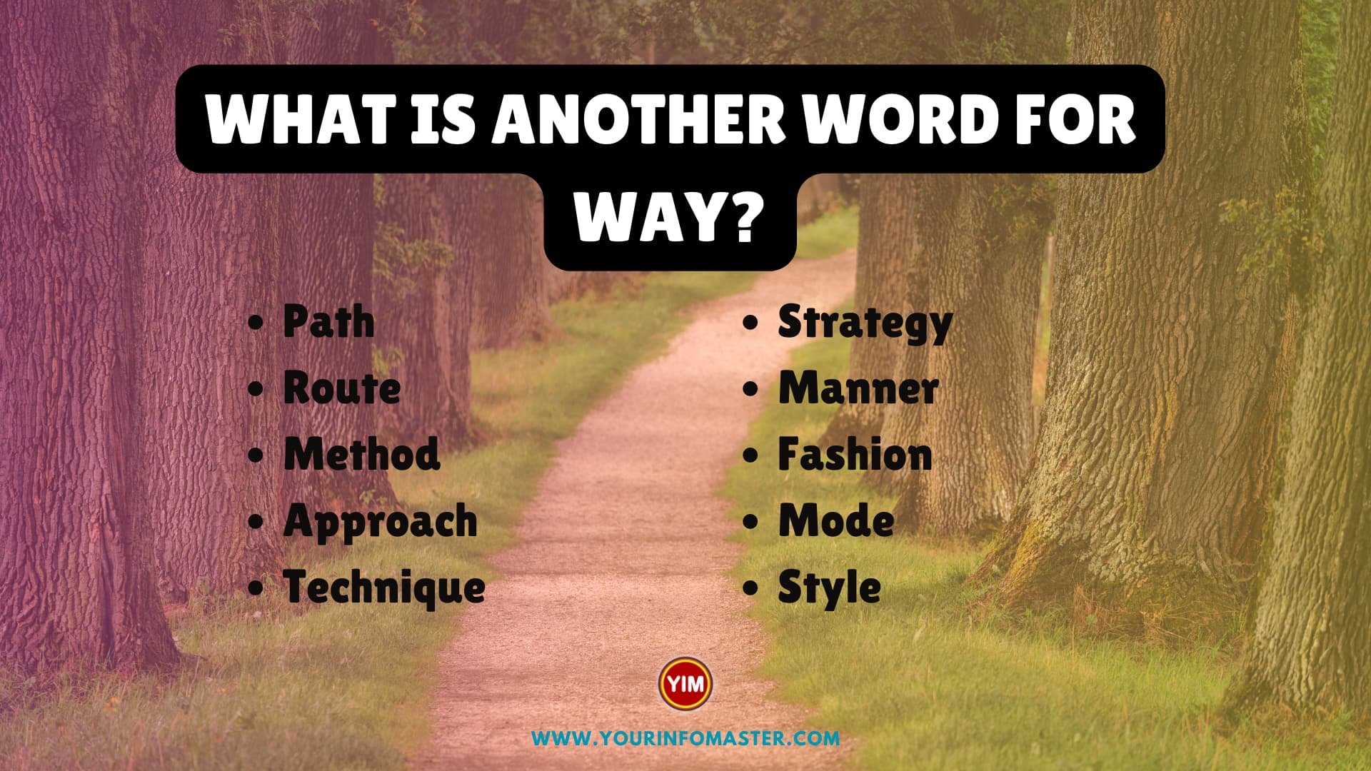 What Is Another Word For Way Way Synonyms Antonyms And Sentences 