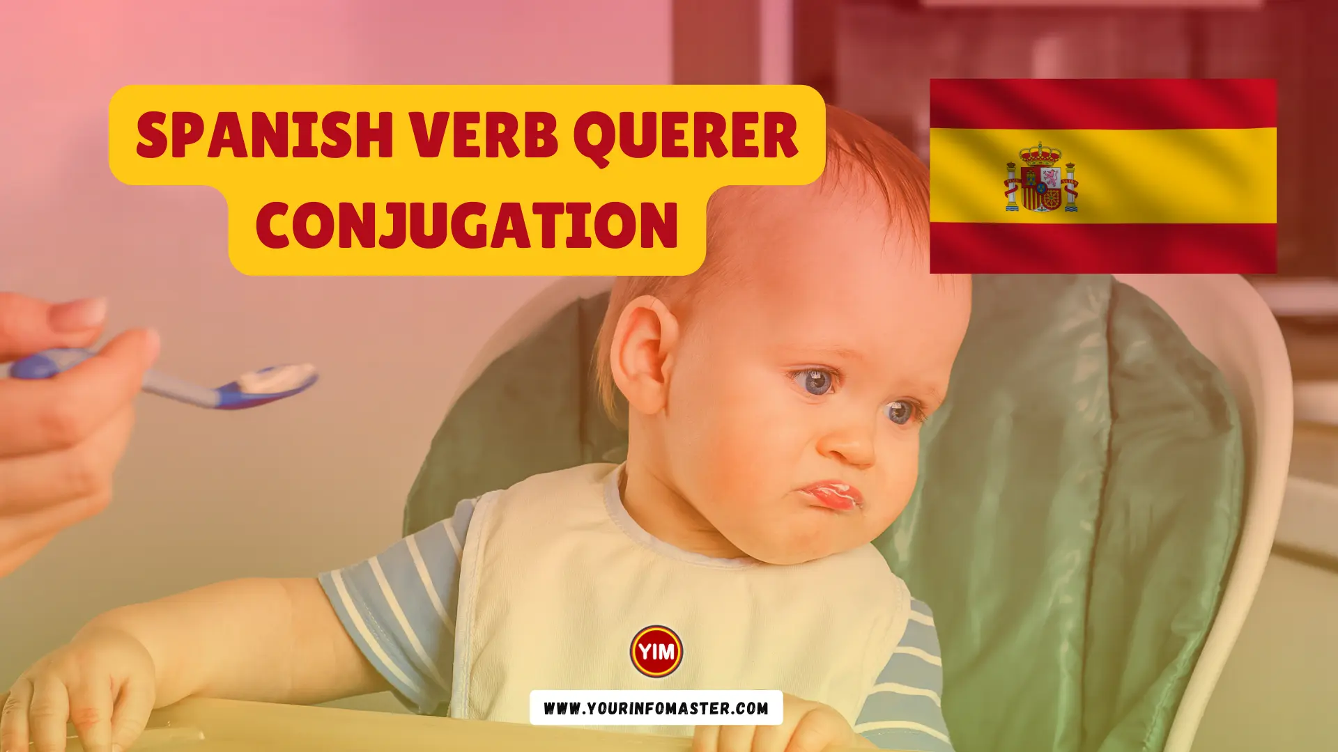 Spanish Verb Querer Conjugation Meaning Translation Examples Your 