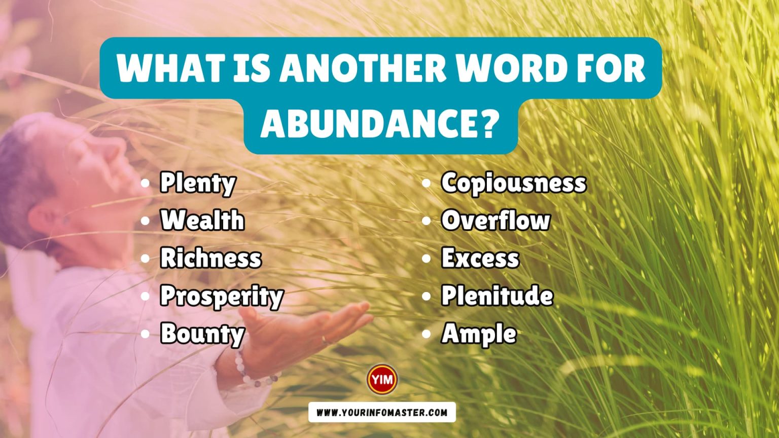 What Is Another Word For Abundance Abundance Synonyms Antonyms And 