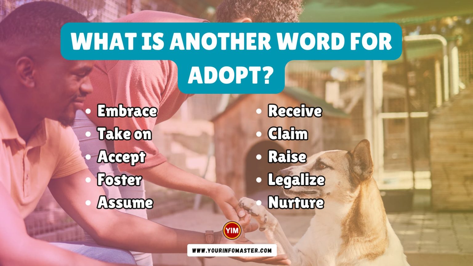 What Is Another Word For Adopt Adopt Synonyms Antonyms And 