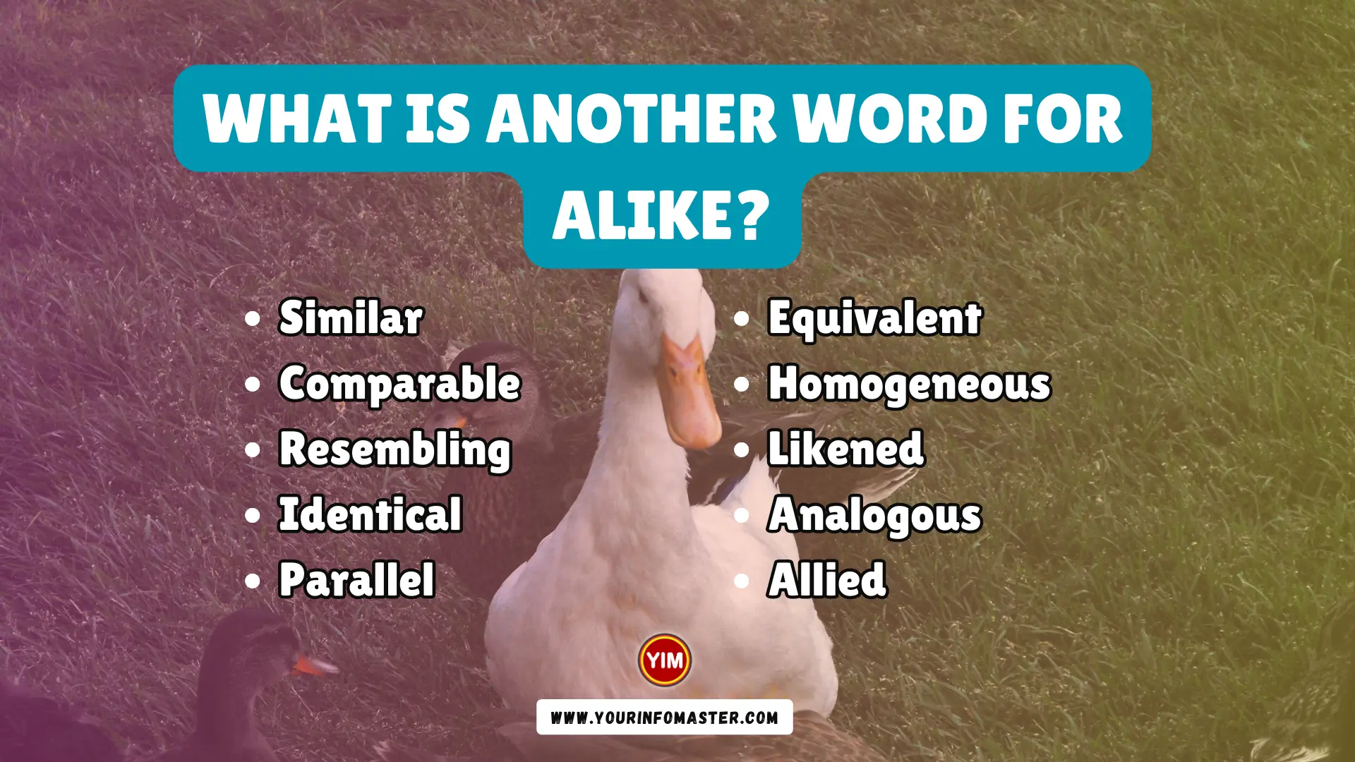 What Is Another Word For Alike Alike Synonyms Antonyms And 