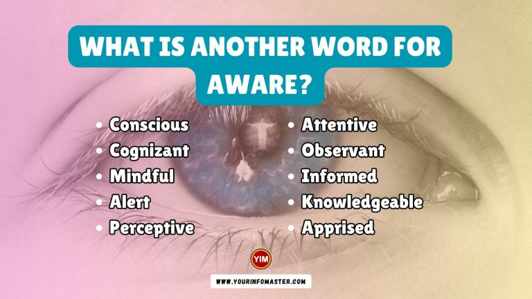 What Is Another Word For Aware Aware Synonyms Antonyms And 