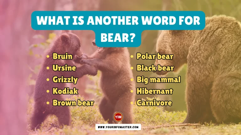 What is another word for Bear