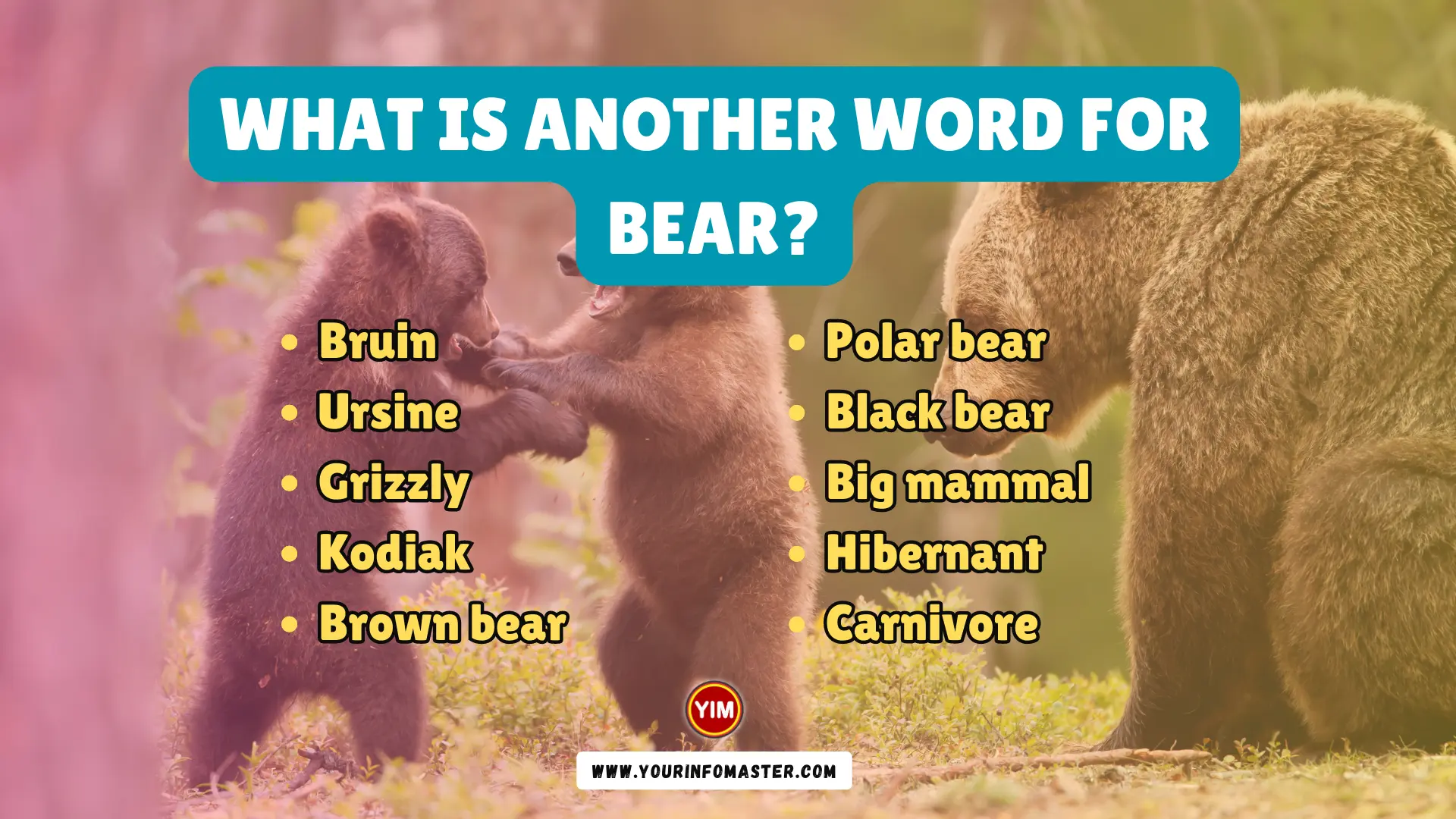 What Is Another Word For Bear Bear Synonyms Antonyms And Sentences 