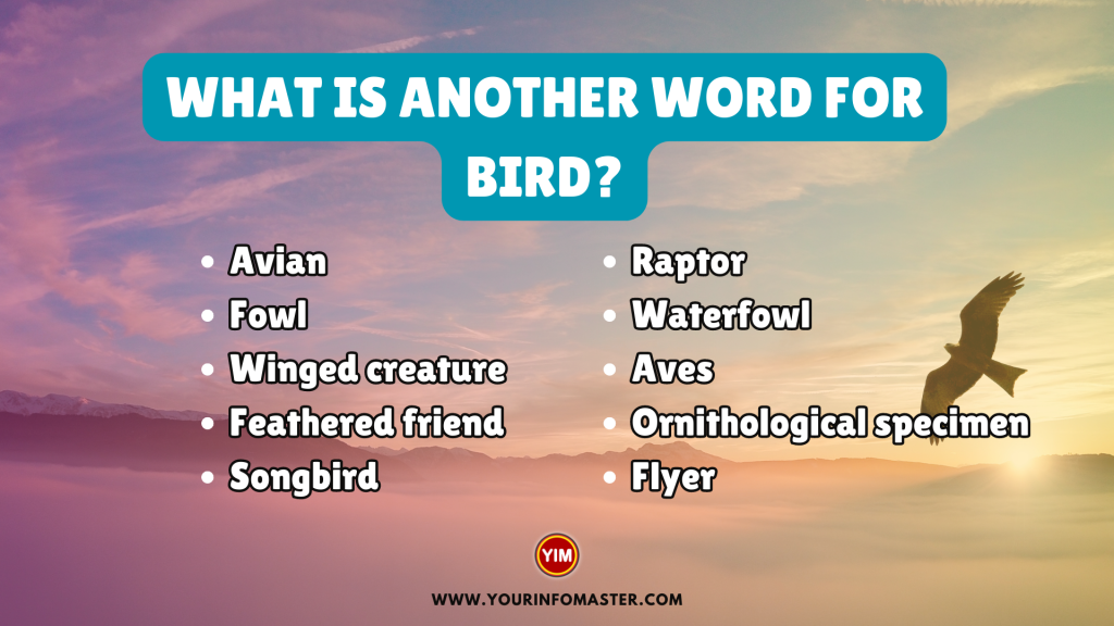 What is another word for Bird (1)