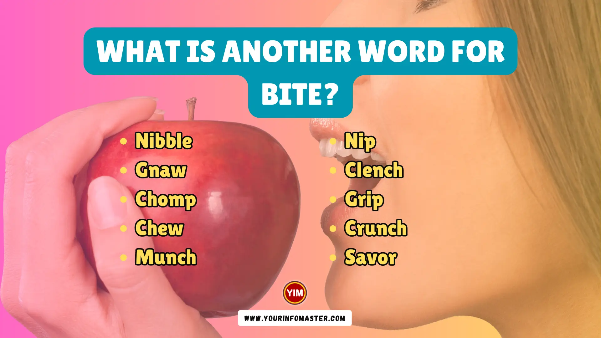 What Is Another Word For Bite Bite Synonyms Antonyms And Sentences 