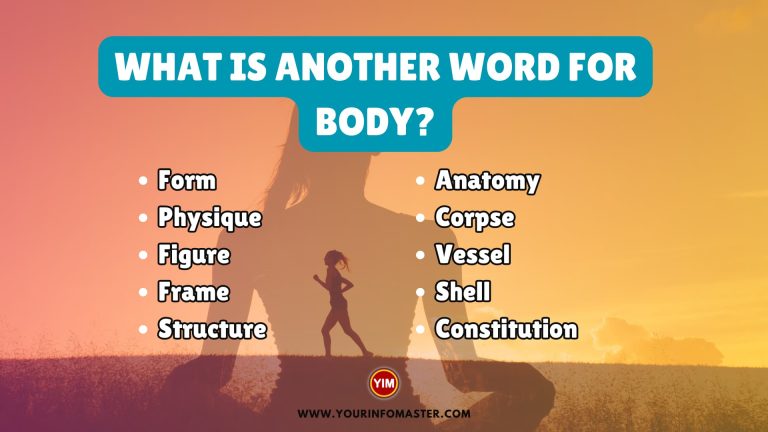 What is another word for Body