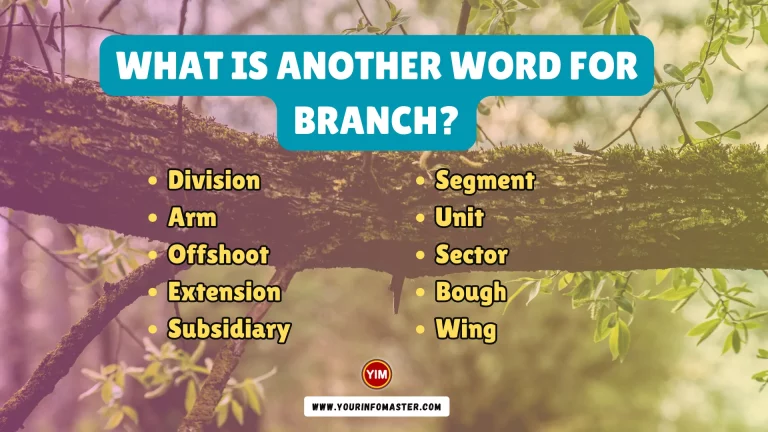 What is another word for Branch