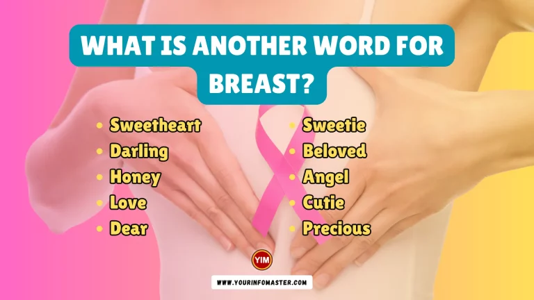 What is another word for Breast