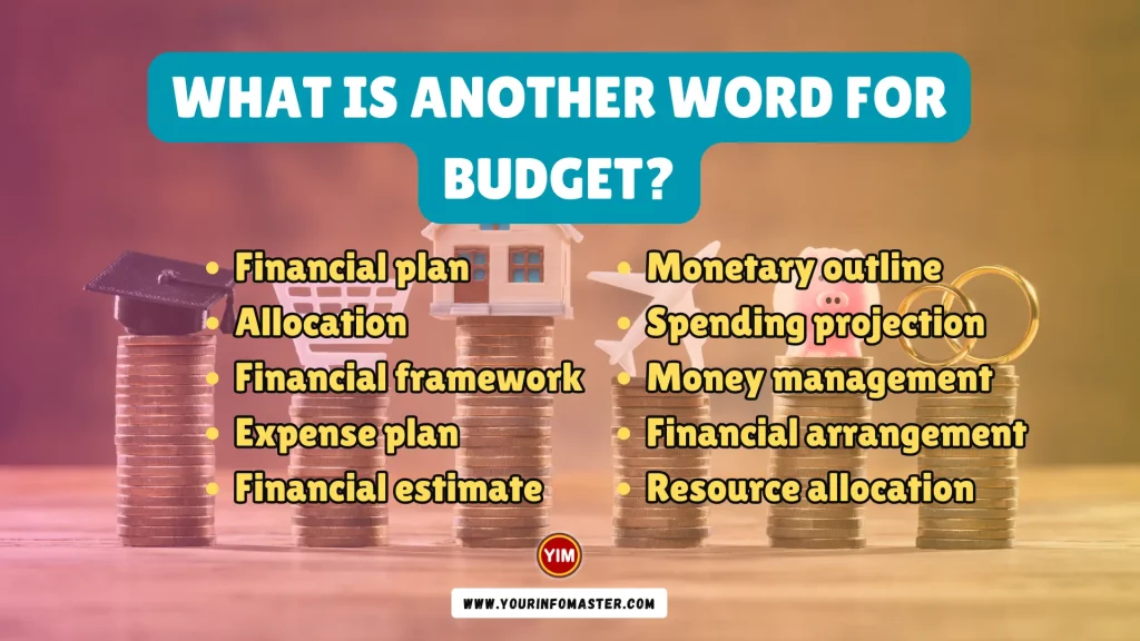 What is another word for Budget