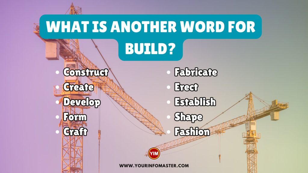 What Is Another Word For Build Build Synonyms Antonyms And 