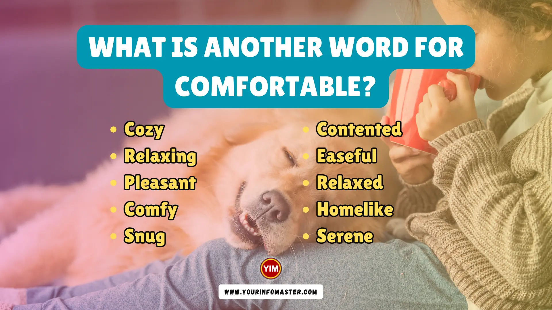 What Is another Word For Comfortable Comfortable Synonyms Antonyms 